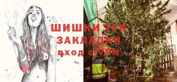 спайс Каменка