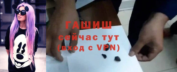спайс Каменка