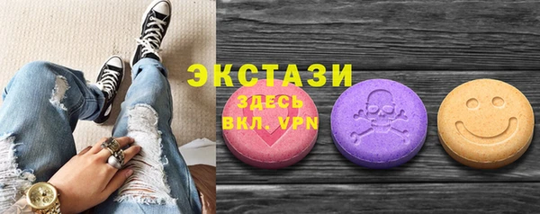 спайс Каменка