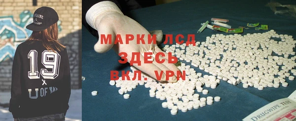 спайс Каменка