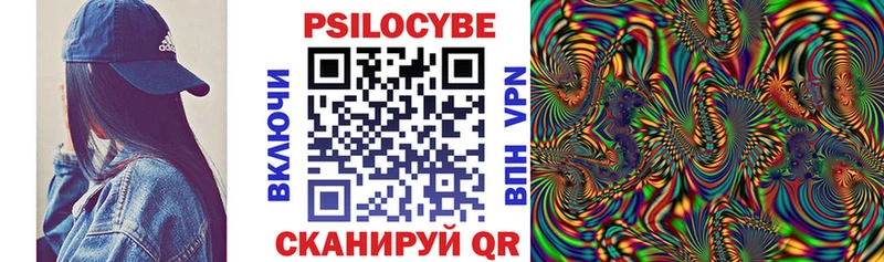 Купить где  Сергач  Псилоцибиновые грибы мицелий 